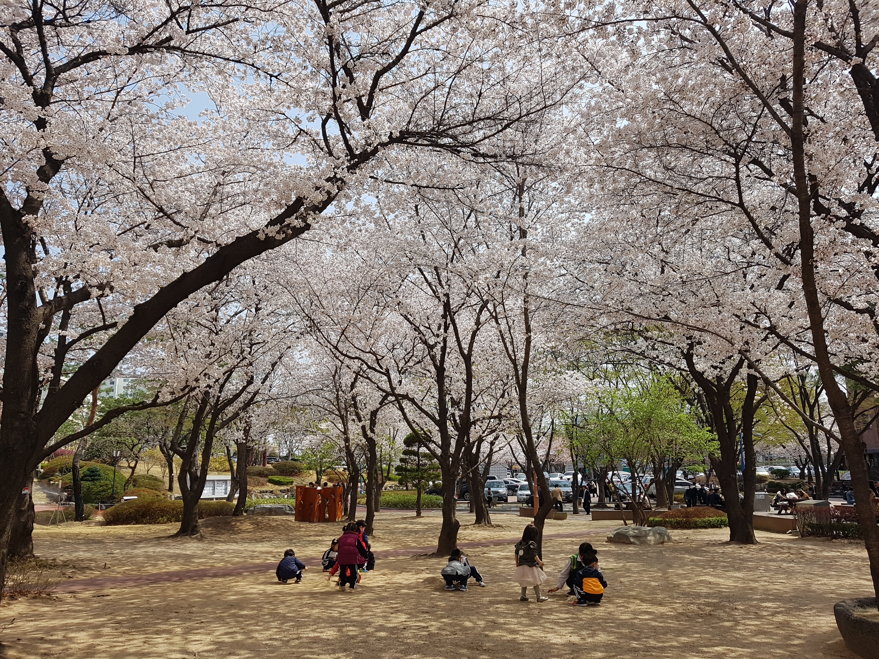 20180330_121622.jpg